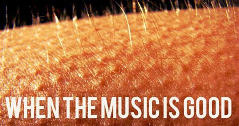 Why Do We Get Goosebumps from Music, and Why Do Cats Always Land on Their Feet?